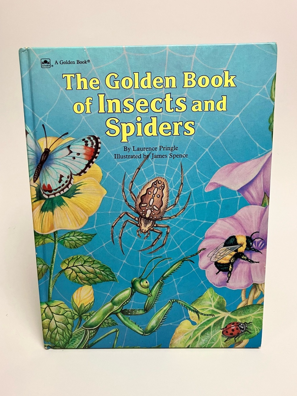 Vintage Golden Book of Insects & Spiders 1990 Science Nature Children's Book